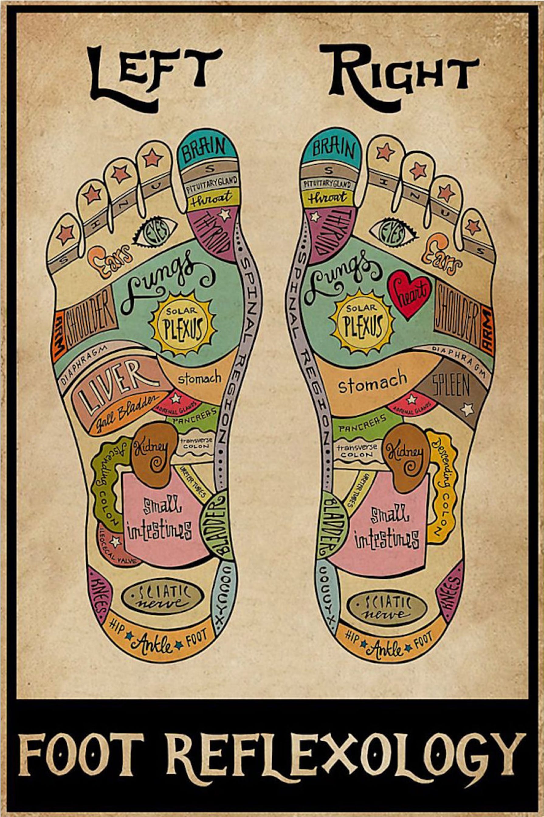 Foot Reflexology Chart